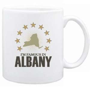  New  I Am Famous In Albany  New York Mug Usa City