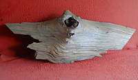 PRIMITIVE CYPRESS DRIFTWOOD SLAB WITH KNOT HOLE #2468  