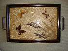 Vintage Wooden Serving Tray w/ Butterflies & Seeds under Glass Brass 