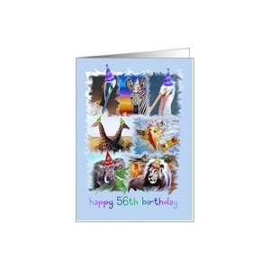 Colorful 56th Birthday Zoo Animals Card  Toys & Games  