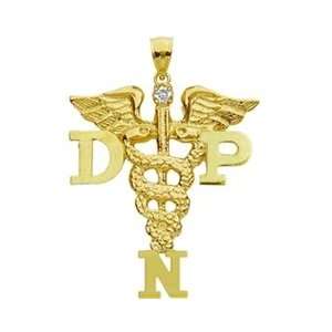  NursingPin   Doctor of Nursing Practice DNP Pendant with 
