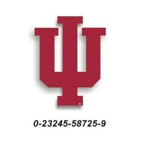  Indiana Hoosiers Set of 2 Car Magnets *SALE* Sports 