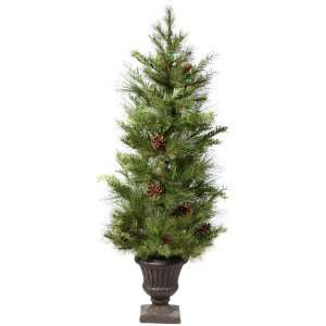  36 Lometa Mix Pine Potted Christmas Tree