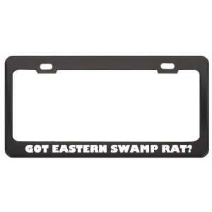 Got Eastern Swamp Rat? Animals Pets Black Metal License Plate Frame 
