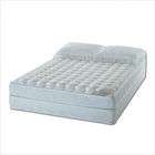 American National Expressions Water Mattress Set (2 Pieces)   Size 