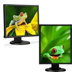  NEW 19 1280x1024 LCD Black (Monitors)
