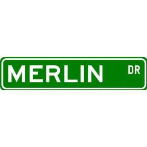  MERLIN Street Sign ~ Personalized Family Lastname Sign 