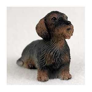  Wire haired Dachshund Tiny One