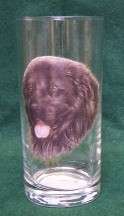 DRINKING GLASSES   VARIOUS DOG BREEDS, BEAGLE TO YORKIE  