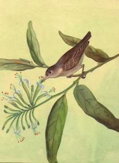 Indian Sparrow Bird Miniature Paper Ethnic Painting Art  
