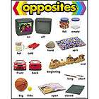 BASIC SHAPES Geometry Early Childhood Trend Poster NEW  