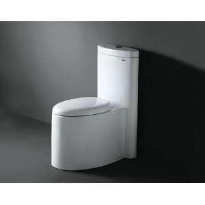    1001 1 Piece Dual Flush Contemporary Toilet