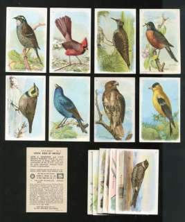   & Dwight Arm & Hammer Useful Birds of America 5th Series Card Set