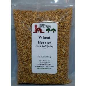 Hard Red Wheat Berries, 1 lb.  Grocery & Gourmet Food