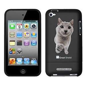  Chartreux on iPod Touch 4g Greatshield Case  Players 