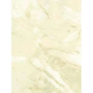  Wallpaper Patton Wallcovering texture Style tE29301