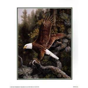 Eagle Perch Poster by Michelle Mara (11.00 x 14.00)