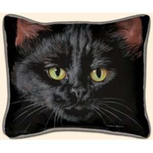  Black Cat Pillow   16 x 13.5 