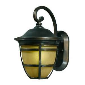   Light Outdoor Wall Lighting in Hand Painted Oil Rubbed Bronze Home