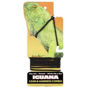    Coastal Pet Products Nyl Iguana Harness&Lead Blu