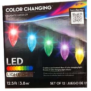  Gemmy Light Show Color Changing Bulb Light String 12 Bulbs 