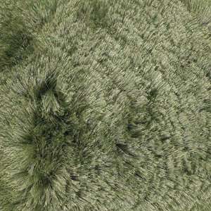   Woven Contemporary Green Rug   MER6900 by Chandra Rugs