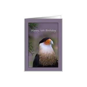  75th Birthday Card with Crested Caracara Bird Card Toys & Games