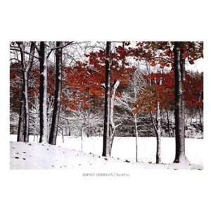   Snowfall   Poster by Burney Lieberman (39.25 x 27.5)