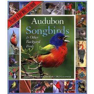  365 Audubon Songbirds a Year 2012 Wall Calendar