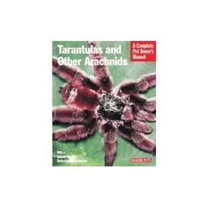  Tarantulas And Other Arachnids