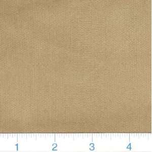  42 Wide Stretch Unclipped Corduroy Sahara Fabric By The 