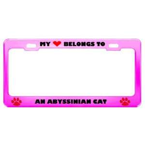  An Abyssinian Cat Pet Pink Metal License Plate Frame Tag 