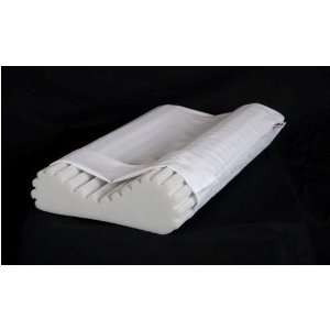   foam support pillow at an economical price.