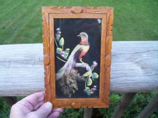 Vtg Teak Mexico Framed Bird Real Feathers Hand Made Art  