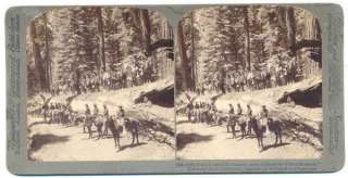 Underwood & Underwood Stereoview 1901 Troop I, 15th US Cavalry  