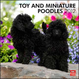 Toy & Miniature Poodles 2012 Wall Calendar 9781421678375  