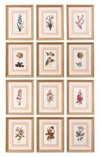 12 Botanical Floral WALL ART Flowers Aged Gold 14x18 Flower of The 
