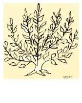   von einer Hobbygärtnerin   Gebüsch vON Henri Matisse, 72x87