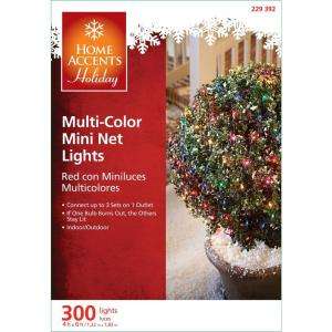 Home Accents Holiday 300 Light Multi Color Net Lights (Set of 2) TOL 