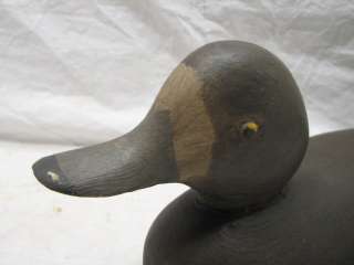   HAND CARVED WOOD DUCK DECOY LESSER SCAUP HEN HUNTING WATER FOWL  