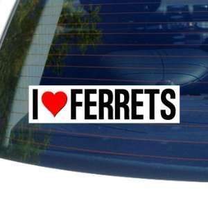  I Love Heart FERRETS   Window Bumper Sticker Automotive