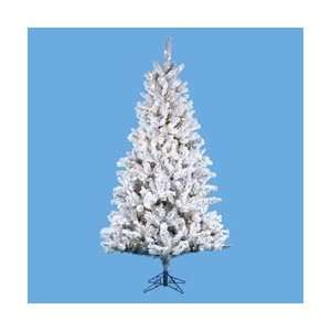  9 Pre Lit Flocked Norway Pine Christmas Tree   Clear 