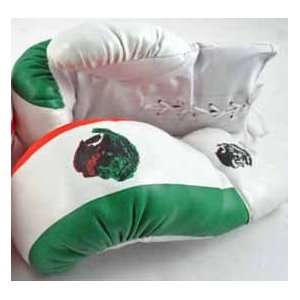  1 Pair of Adult 18 oz Boxing Gloves Mexico Flag Boxer 