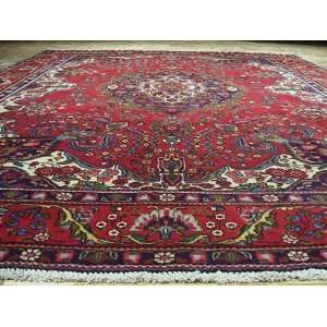   Shipping & Free Pad 9x12 Handmade Persian Rug G275