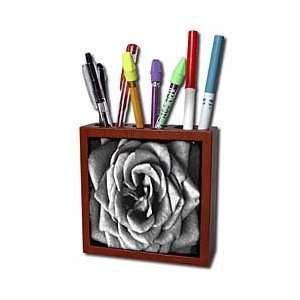  Rebecca Anne Grant Designs Flowers   Rose Charcoal Drawing 