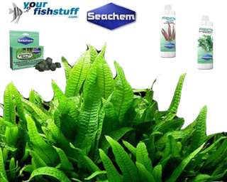 Seachem Flourish Root Tabs Aquarium Plant Food 10pk  