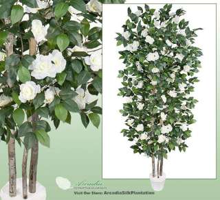 Above Real Wood Trunk Artificial Camellia Tree in Paper Mache Pot