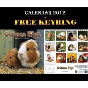  GUINEA PIGS CALENDAR 2012 + FREE KEYRING AVONSIDE Office 