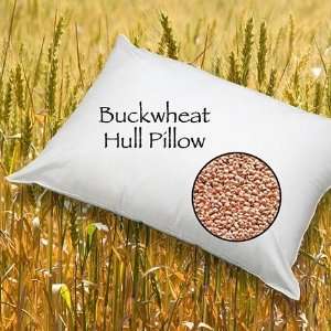  Buckwheat Pillow 