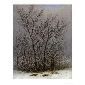  Bushes in the Snow Giclee Poster Print
